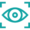 Vision